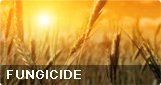 Fungicide