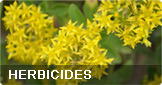 Herbicides