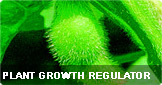 Plant Growth Regulator